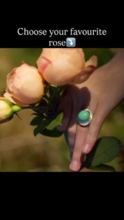 Roses, the heat brought out so many at once in the garden last week, now it’s time to deadhead and wait for more to bloom. A selection of statement gemstone rings on the website now and will also be @starbrewerygallerylewes next month as part of the @themakersdirectory group show
#handmadeinsussex
#largegemstonerings
#lisahamiltonjewellery
